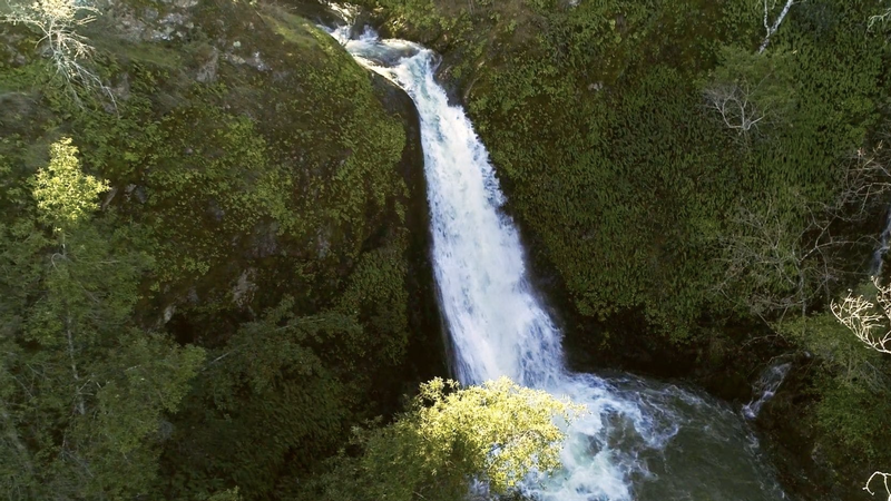 collier falls waterfall at Bella Lily Hill
