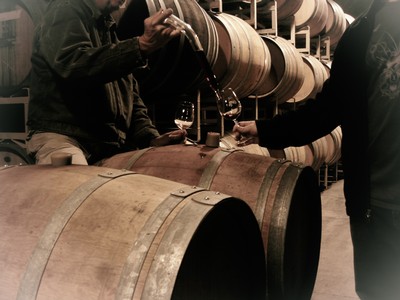 Winery and Barrel Experience